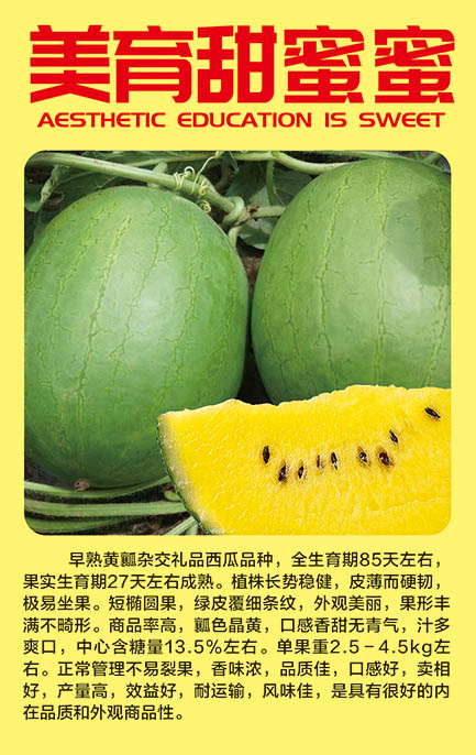 美育甜蜜蜜 美育甜蜜蜜