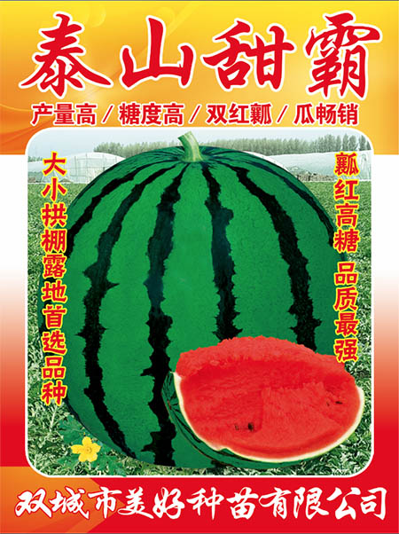 泰山甜霸 泰山甜霸